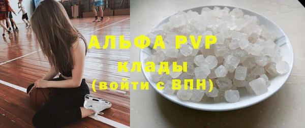 шишки Бабаево