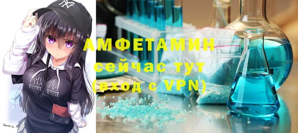 дживик Аша