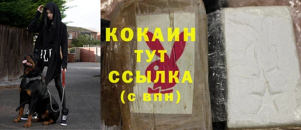 дживик Михайловск