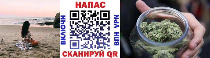 Бошки марихуана Bruce Banner  omg   Нестеров 